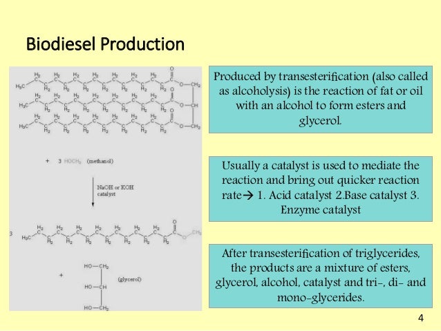 Biodiesel Production Process