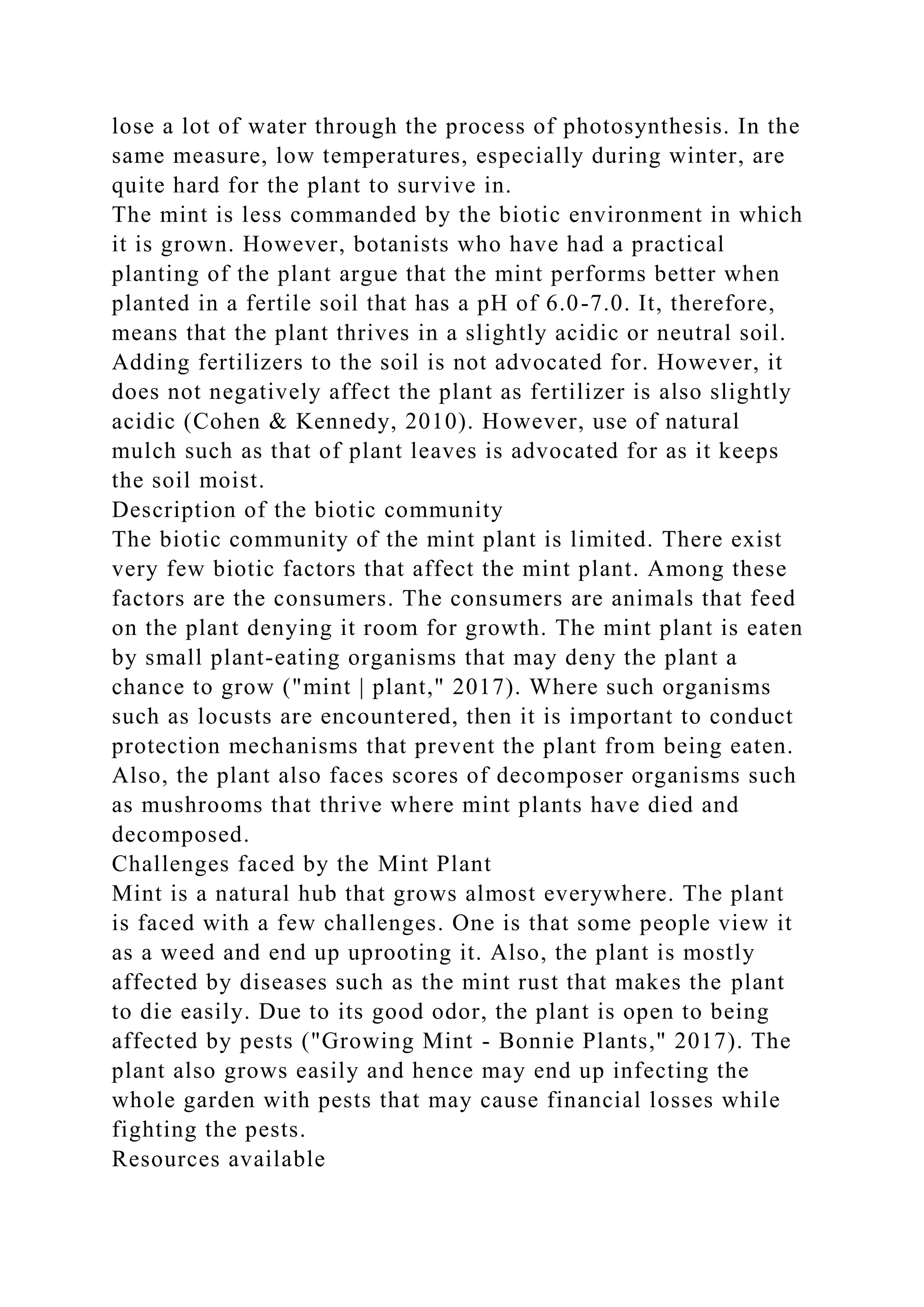 lose a lot of water through the process of photosynthesis. In the
same measure, low temperatures, especially during winter, are
quite hard for the plant to survive in.
The mint is less commanded by the biotic environment in which
it is grown. However, botanists who have had a practical
planting of the plant argue that the mint performs better when
planted in a fertile soil that has a pH of 6.0-7.0. It, therefore,
means that the plant thrives in a slightly acidic or neutral soil.
Adding fertilizers to the soil is not advocated for. However, it
does not negatively affect the plant as fertilizer is also slightly
acidic (Cohen & Kennedy, 2010). However, use of natural
mulch such as that of plant leaves is advocated for as it keeps
the soil moist.
Description of the biotic community
The biotic community of the mint plant is limited. There exist
very few biotic factors that affect the mint plant. Among these
factors are the consumers. The consumers are animals that feed
on the plant denying it room for growth. The mint plant is eaten
by small plant-eating organisms that may deny the plant a
chance to grow ("mint | plant," 2017). Where such organisms
such as locusts are encountered, then it is important to conduct
protection mechanisms that prevent the plant from being eaten.
Also, the plant also faces scores of decomposer organisms such
as mushrooms that thrive where mint plants have died and
decomposed.
Challenges faced by the Mint Plant
Mint is a natural hub that grows almost everywhere. The plant
is faced with a few challenges. One is that some people view it
as a weed and end up uprooting it. Also, the plant is mostly
affected by diseases such as the mint rust that makes the plant
to die easily. Due to its good odor, the plant is open to being
affected by pests ("Growing Mint - Bonnie Plants," 2017). The
plant also grows easily and hence may end up infecting the
whole garden with pests that may cause financial losses while
fighting the pests.
Resources available
 