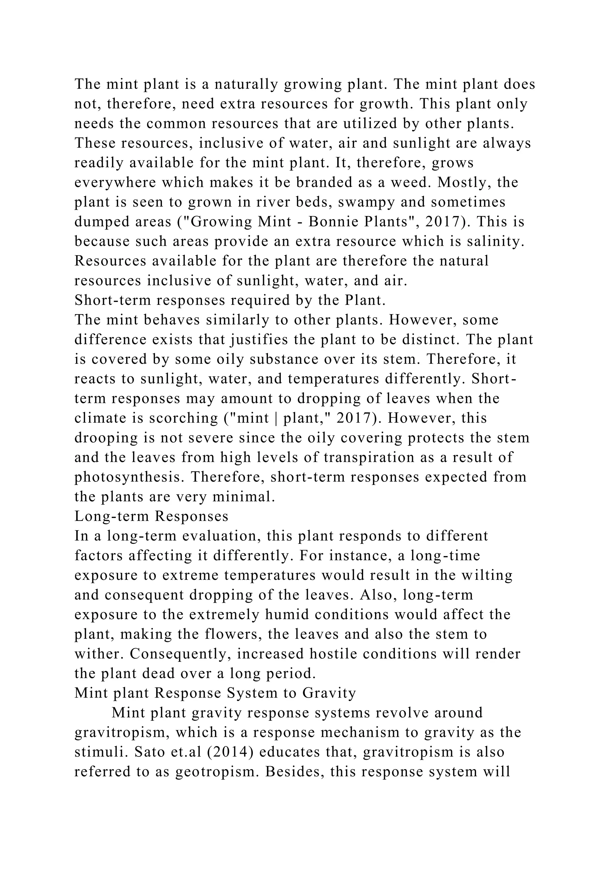 The mint plant is a naturally growing plant. The mint plant does
not, therefore, need extra resources for growth. This plant only
needs the common resources that are utilized by other plants.
These resources, inclusive of water, air and sunlight are always
readily available for the mint plant. It, therefore, grows
everywhere which makes it be branded as a weed. Mostly, the
plant is seen to grown in river beds, swampy and sometimes
dumped areas ("Growing Mint - Bonnie Plants", 2017). This is
because such areas provide an extra resource which is salinity.
Resources available for the plant are therefore the natural
resources inclusive of sunlight, water, and air.
Short-term responses required by the Plant.
The mint behaves similarly to other plants. However, some
difference exists that justifies the plant to be distinct. The plant
is covered by some oily substance over its stem. Therefore, it
reacts to sunlight, water, and temperatures differently. Short-
term responses may amount to dropping of leaves when the
climate is scorching ("mint | plant," 2017). However, this
drooping is not severe since the oily covering protects the stem
and the leaves from high levels of transpiration as a result of
photosynthesis. Therefore, short-term responses expected from
the plants are very minimal.
Long-term Responses
In a long-term evaluation, this plant responds to different
factors affecting it differently. For instance, a long-time
exposure to extreme temperatures would result in the wilting
and consequent dropping of the leaves. Also, long-term
exposure to the extremely humid conditions would affect the
plant, making the flowers, the leaves and also the stem to
wither. Consequently, increased hostile conditions will render
the plant dead over a long period.
Mint plant Response System to Gravity
Mint plant gravity response systems revolve around
gravitropism, which is a response mechanism to gravity as the
stimuli. Sato et.al (2014) educates that, gravitropism is also
referred to as geotropism. Besides, this response system will
 