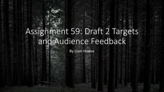 Assignment 59: Draft 2 Targets
and Audience Feedback
By Liam Howse
 