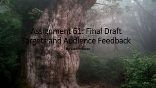 Assignment 61: Final Draft
Targets and Audience Feedback
By Liam Howse
 