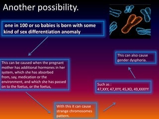 Another possibility.
 one in 100 or so babies is born with some
 kind of sex differentiation anomaly



                                                                    This can also cause
                                                                    gender dysphoria.
This can be caused when the pregnant
mother has additional hormones in her
system, which she has absorbed
from, say, medication or the
environment, and which she has passed
                                                        Such as :
on to the foetus, or the foetus,
                                                        47,XXY, 47,XYY, 45,XO, 49,XXXYY



                               With this it can cause
                               strange chromosomes
                               pattern.
 