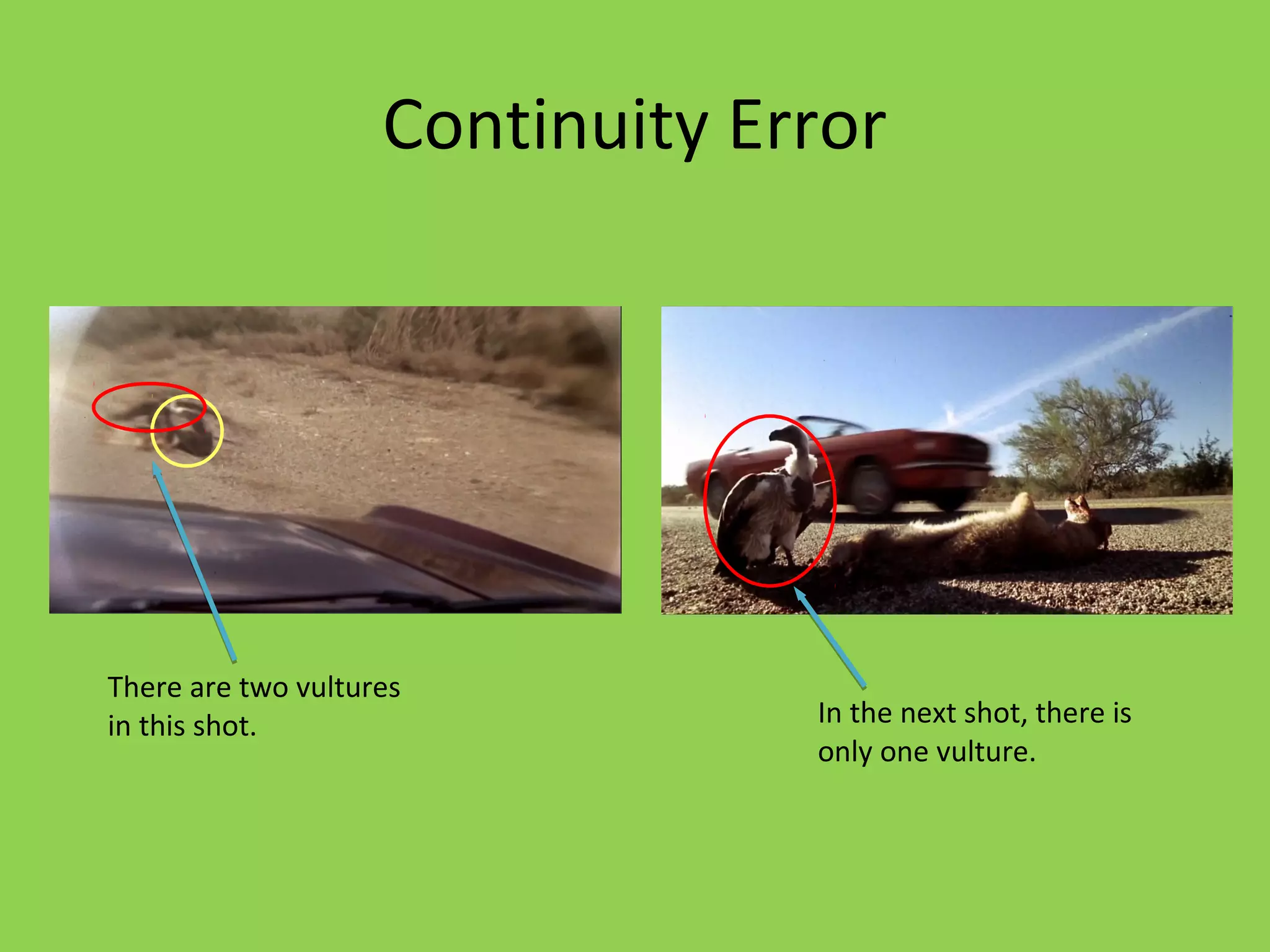 Continuity Error




There are two vultures
in this shot.                    In the next shot, there is
                                 only one vulture.
 