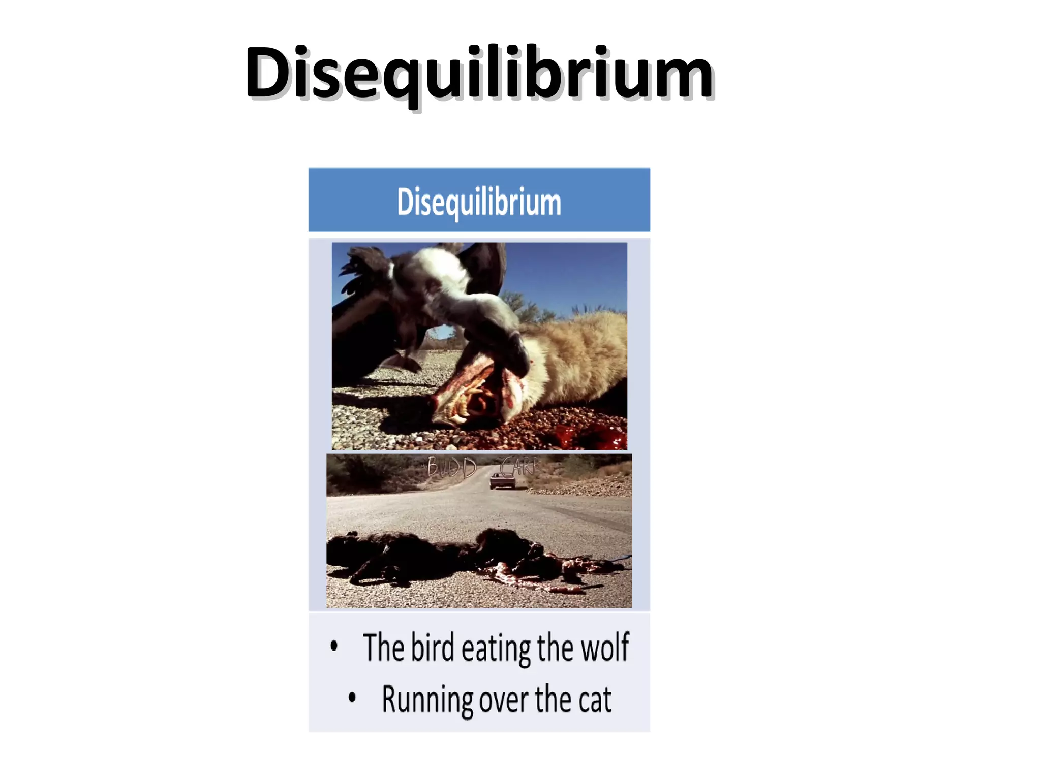 Disequilibrium
 