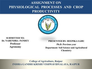 ASSIGNMENT ON
PHYSIOLOGICAL PROCESSES AND CROP
PRODUCTIVITY
PRESENTED BY- DEEPIKA SAHU
Ph.D. Previous year
Department- Soil Science and Agricultural
Chemistry
College of Agriculture, Raipur
INDIRA GANDHI KRISHI VISHWAVIDYALAYA, RAIPUR
SUBMITTED TO-
Dr. NARENDRA PANDEY
Professor
Agronomy
 