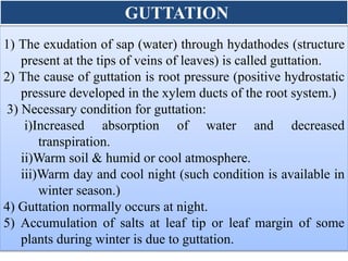 PHYSIOLOGICAL PROCESSES AND CROP PRODUCTIVITY | PPTX