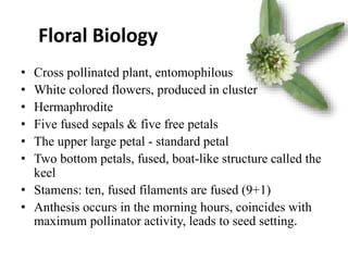 Floral Biology
• Cross pollinated plant, entomophilous
• White colored flowers, produced in cluster
• Hermaphrodite
• Five fused sepals & five free petals
• The upper large petal - standard petal
• Two bottom petals, fused, boat-like structure called the
keel
• Stamens: ten, fused filaments are fused (9+1)
• Anthesis occurs in the morning hours, coincides with
maximum pollinator activity, leads to seed setting.
 