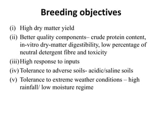 Breeding objectives
(i) High dry matter yield
(ii) Better quality components– crude protein content,
in-vitro dry-matter digestibility, low percentage of
neutral detergent fibre and toxicity
(iii)High response to inputs
(iv) Tolerance to adverse soils- acidic/saline soils
(v) Tolerance to extreme weather conditions – high
rainfall/ low moisture regime
 