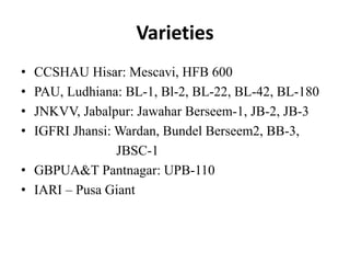 Varieties
• CCSHAU Hisar: Mescavi, HFB 600
• PAU, Ludhiana: BL-1, Bl-2, BL-22, BL-42, BL-180
• JNKVV, Jabalpur: Jawahar Berseem-1, JB-2, JB-3
• IGFRI Jhansi: Wardan, Bundel Berseem2, BB-3,
JBSC-1
• GBPUA&T Pantnagar: UPB-110
• IARI – Pusa Giant
 