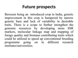 Future prospects
Berseem being an introduced crop in India, genetic
improvement in this crop is hampered by narrow
genetic base and lack of variability in desirable
traits. There is a scope to further strengthen the
genomic resources by developing more SSR
markers, molecular linkage map and mapping of
forage quality and biomass contributing traits which
could be utilized to speed up conventional breeding
programme going on in different research
institutes/universities.
 
