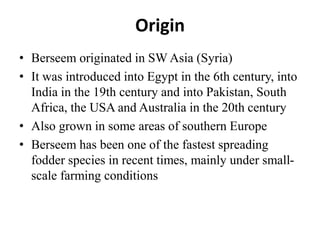 Origin
• Berseem originated in SW Asia (Syria)
• It was introduced into Egypt in the 6th century, into
India in the 19th century and into Pakistan, South
Africa, the USA and Australia in the 20th century
• Also grown in some areas of southern Europe
• Berseem has been one of the fastest spreading
fodder species in recent times, mainly under small-
scale farming conditions
 