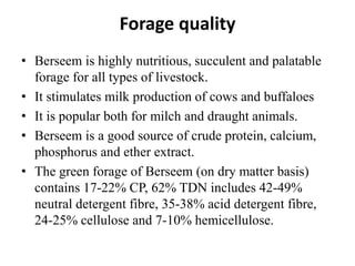 Forage quality
• Berseem is highly nutritious, succulent and palatable
forage for all types of livestock.
• It stimulates milk production of cows and buffaloes
• It is popular both for milch and draught animals.
• Berseem is a good source of crude protein, calcium,
phosphorus and ether extract.
• The green forage of Berseem (on dry matter basis)
contains 17-22% CP, 62% TDN includes 42-49%
neutral detergent fibre, 35-38% acid detergent fibre,
24-25% cellulose and 7-10% hemicellulose.
 