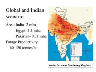 Global and Indian
scenario
Area: India- 2 mha
Egypt- 1.1 mha
Pakistan- 0.71 mha
Forage Productivity:
60-120 tonnes/ha
India Berseem Producing Regions
 
