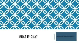 WHAT IS DNA? Replication and Transcription
 