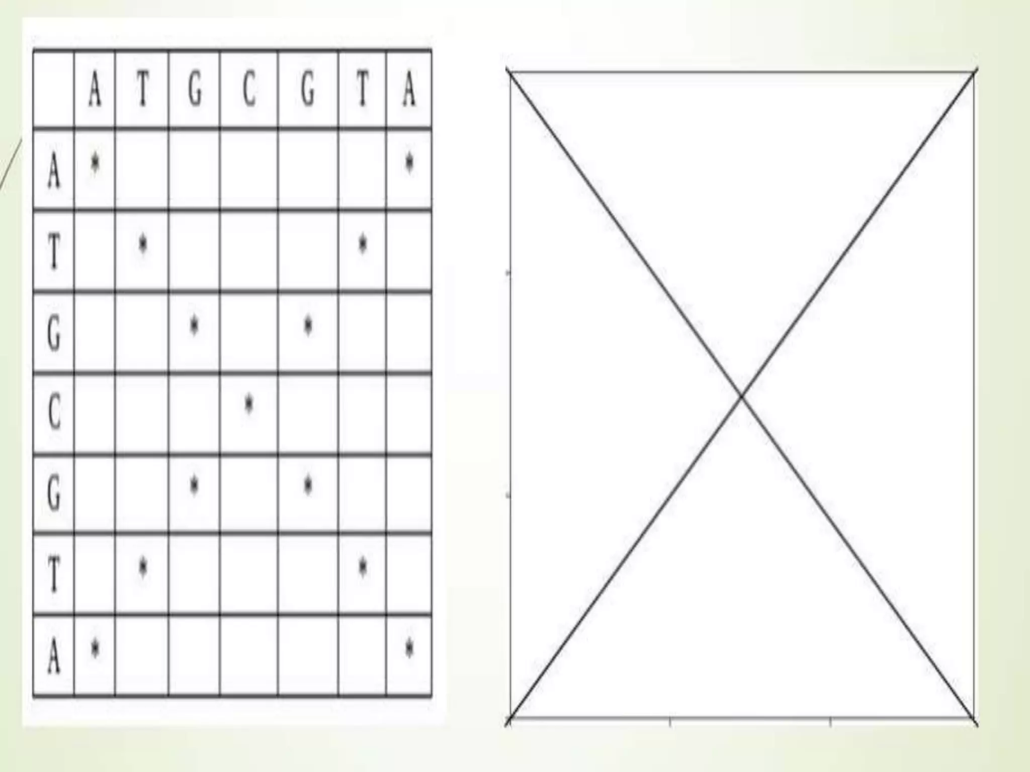 local and global allignment