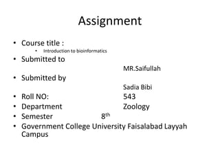 Assignment
• Course title :
• Introduction to bioinformatics
• Submitted to
MR.Saifullah
• Submitted by
Sadia Bibi
• Roll NO: 543
• Department Zoology
• Semester 8th
• Government College University Faisalabad Layyah
Campus
 