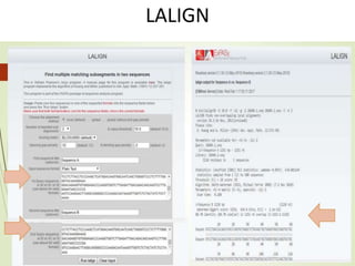Lalign local and global allignment | PPTX