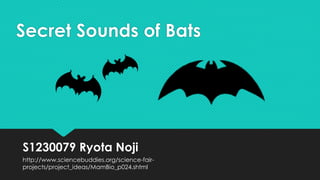 Secret Sounds of Bats
S1230079 Ryota Noji
http://www.sciencebuddies.org/science-fair-
projects/project_ideas/MamBio_p024.shtml
 