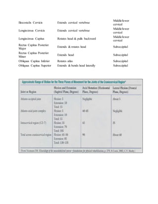 Iliocostalis Cervicis Extends cervical vertebrae
Middle/lower
cervical
Longissimus Cervicis Extends cervical vertebrae
Middle/lower
cervical
Longissimus Capitus Rotates head & pulls backward
Middle/lower
cervical
Rectus Capitus Posterior
Major
Extends & rotates head Suboccipital
Rectus Capitus Posterior
Minor
Extends head Suboccipital
Obliquus Capitus Inferior Rotates atlas Suboccipital
Obliquus Capitus Superior Extends & bends head laterally Suboccipital
 