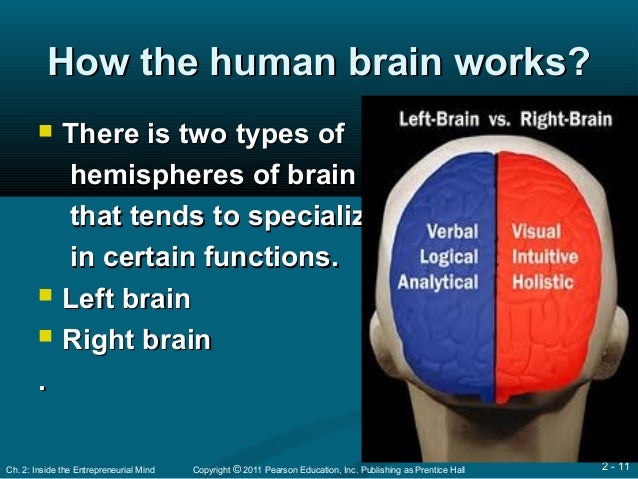 How the Human Brain Works The human