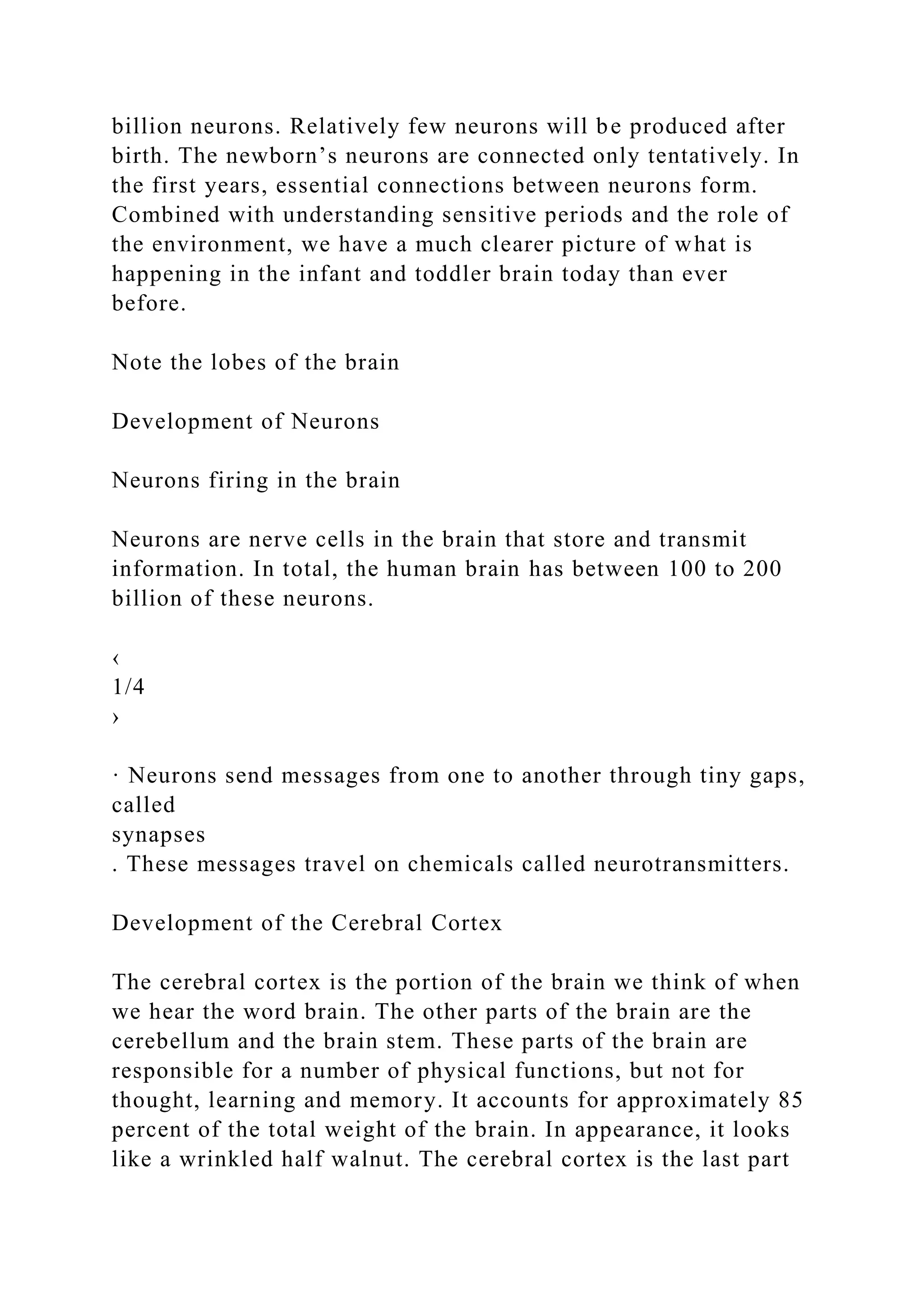 billion neurons. Relatively few neurons will be produced after
birth. The newborn’s neurons are connected only tentatively. In
the first years, essential connections between neurons form.
Combined with understanding sensitive periods and the role of
the environment, we have a much clearer picture of what is
happening in the infant and toddler brain today than ever
before.
Note the lobes of the brain
Development of Neurons
Neurons firing in the brain
Neurons are nerve cells in the brain that store and transmit
information. In total, the human brain has between 100 to 200
billion of these neurons.
‹
1/4
›
· Neurons send messages from one to another through tiny gaps,
called
synapses
. These messages travel on chemicals called neurotransmitters.
Development of the Cerebral Cortex
The cerebral cortex is the portion of the brain we think of when
we hear the word brain. The other parts of the brain are the
cerebellum and the brain stem. These parts of the brain are
responsible for a number of physical functions, but not for
thought, learning and memory. It accounts for approximately 85
percent of the total weight of the brain. In appearance, it looks
like a wrinkled half walnut. The cerebral cortex is the last part
 