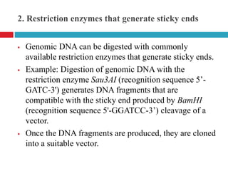 2. Restriction enzymes that generate sticky ends
 Genomic DNA can be digested with commonly
available restriction enzymes that generate sticky ends.
 Example: Digestion of genomic DNA with the
restriction enzyme Sau3AI (recognition sequence 5’-
GATC-3') generates DNA fragments that are
compatible with the sticky end produced by BamHI
(recognition sequence 5'-GGATCC-3’) cleavage of a
vector.
 Once the DNA fragments are produced, they are cloned
into a suitable vector.
 