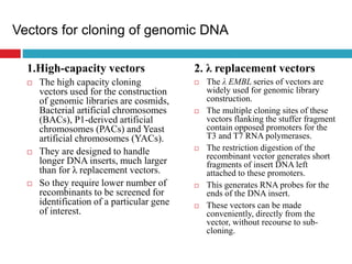 Vectors for cloning of genomic DNA
2. λ replacement vectors
 The λ EMBL series of vectors are
widely used for genomic library
construction.
 The multiple cloning sites of these
vectors flanking the stuffer fragment
contain opposed promoters for the
T3 and T7 RNA polymerases.
 The restriction digestion of the
recombinant vector generates short
fragments of insert DNA left
attached to these promoters.
 This generates RNA probes for the
ends of the DNA insert.
 These vectors can be made
conveniently, directly from the
vector, without recourse to sub-
cloning.
1.High-capacity vectors
 The high capacity cloning
vectors used for the construction
of genomic libraries are cosmids,
Bacterial artificial chromosomes
(BACs), P1-derived artificial
chromosomes (PACs) and Yeast
artificial chromosomes (YACs).
 They are designed to handle
longer DNA inserts, much larger
than for λ replacement vectors.
 So they require lower number of
recombinants to be screened for
identification of a particular gene
of interest.
 