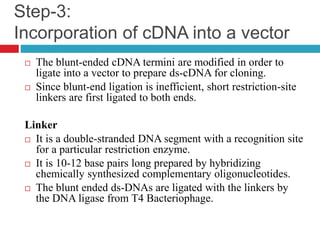 Step-3:
Incorporation of cDNA into a vector
 The blunt-ended cDNA termini are modified in order to
ligate into a vector to prepare ds-cDNA for cloning.
 Since blunt-end ligation is inefficient, short restriction-site
linkers are first ligated to both ends.
Linker
 It is a double-stranded DNA segment with a recognition site
for a particular restriction enzyme.
 It is 10-12 base pairs long prepared by hybridizing
chemically synthesized complementary oligonucleotides.
 The blunt ended ds-DNAs are ligated with the linkers by
the DNA ligase from T4 Bacteriophage.
 