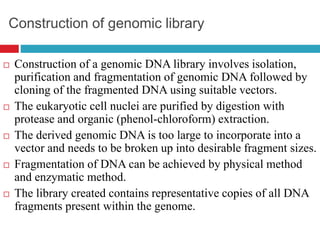 Construction of genomic library
 Construction of a genomic DNA library involves isolation,
purification and fragmentation of genomic DNA followed by
cloning of the fragmented DNA using suitable vectors.
 The eukaryotic cell nuclei are purified by digestion with
protease and organic (phenol-chloroform) extraction.
 The derived genomic DNA is too large to incorporate into a
vector and needs to be broken up into desirable fragment sizes.
 Fragmentation of DNA can be achieved by physical method
and enzymatic method.
 The library created contains representative copies of all DNA
fragments present within the genome.
 