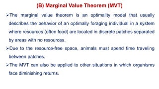 (B) Marginal Value Theorem (MVT)
The marginal value theorem is an optimality model that usually
describes the behavior of an optimally foraging individual in a system
where resources (often food) are located in discrete patches separated
by areas with no resources.
Due to the resource-free space, animals must spend time traveling
between patches.
The MVT can also be applied to other situations in which organisms
face diminishing returns.
 