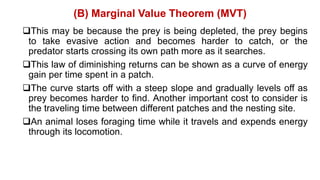 This may be because the prey is being depleted, the prey begins
to take evasive action and becomes harder to catch, or the
predator starts crossing its own path more as it searches.
This law of diminishing returns can be shown as a curve of energy
gain per time spent in a patch.
The curve starts off with a steep slope and gradually levels off as
prey becomes harder to find. Another important cost to consider is
the traveling time between different patches and the nesting site.
An animal loses foraging time while it travels and expends energy
through its locomotion.
(B) Marginal Value Theorem (MVT)
 