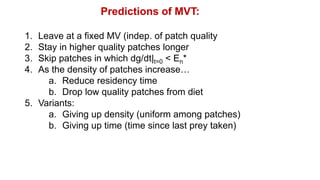 1. Leave at a fixed MV (indep. of patch quality
2. Stay in higher quality patches longer
3. Skip patches in which dg/dt|t=0 < En*
4. As the density of patches increase…
a. Reduce residency time
b. Drop low quality patches from diet
5. Variants:
a. Giving up density (uniform among patches)
b. Giving up time (time since last prey taken)
Predictions of MVT:
 