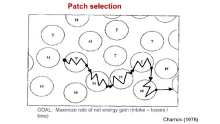 GOAL: Maximize rate of net energy gain (intake – losses /
time)
Charnov (1976)
Patch selection
 