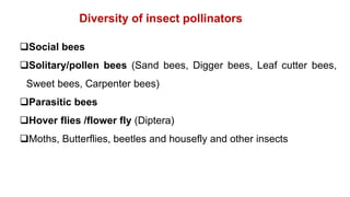 Diversity of insect pollinators
Social bees
Solitary/pollen bees (Sand bees, Digger bees, Leaf cutter bees,
Sweet bees, Carpenter bees)
Parasitic bees
Hover flies /flower fly (Diptera)
Moths, Butterflies, beetles and housefly and other insects
 
