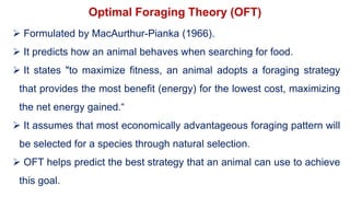 Optimal Foraging Theory (OFT)
 Formulated by MacAurthur-Pianka (1966).
 It predicts how an animal behaves when searching for food.
 It states "to maximize fitness, an animal adopts a foraging strategy
that provides the most benefit (energy) for the lowest cost, maximizing
the net energy gained.“
 It assumes that most economically advantageous foraging pattern will
be selected for a species through natural selection.
 OFT helps predict the best strategy that an animal can use to achieve
this goal.
 