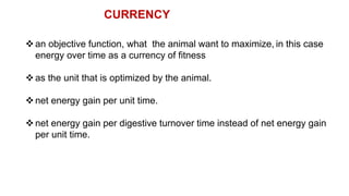 an objective function, what the animal want to maximize, in this case
energy over time as a currency of fitness
as the unit that is optimized by the animal.
net energy gain per unit time.
net energy gain per digestive turnover time instead of net energy gain
per unit time.
CURRENCY
 