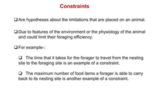 Are hypotheses about the limitations that are placed on an animal.
Due to features of the environment or the physiology of the animal
and could limit their foraging efficiency.
For example-:
 The time that it takes for the forager to travel from the nesting
site to the foraging site is an example of a constraint.
 The maximum number of food items a forager is able to carry
back to its nesting site is another example of a constraint.
Constraints
 