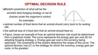 OPTIMAL DECISION RULE
Model's prediction of what will be the
animal's best foraging strategy or set of
choices under the organism's control
for examples
optimal number of food items that an animal should carry back to its nesting
site.
the optimal size of a food item that an animal should feed on.
Figure, shows an example of how an optimal decision rule could be determined
from a graphical model. The curve represents the energy gain per cost (E) for
adopting foraging strategy x. Energy gain per cost is the currency being
optimized. The constraints of the system determine the shape of this curve. The
optimal decision rule (x*) is the strategy for which the currency, energy gain per
costs, is the greatest.
 