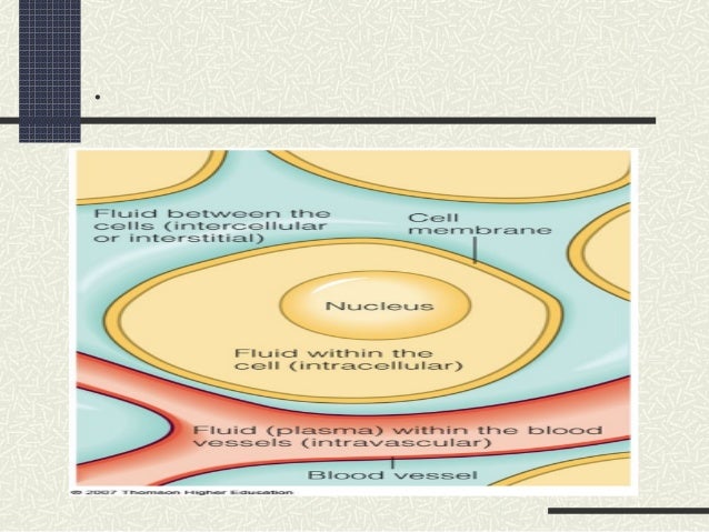 3 body the of fluid compartments electrolytes & fluid