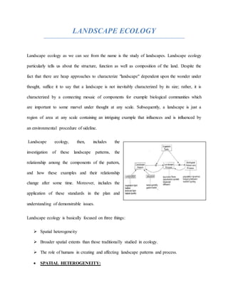 Primary and secondary production, landscape ecology and ecological ...