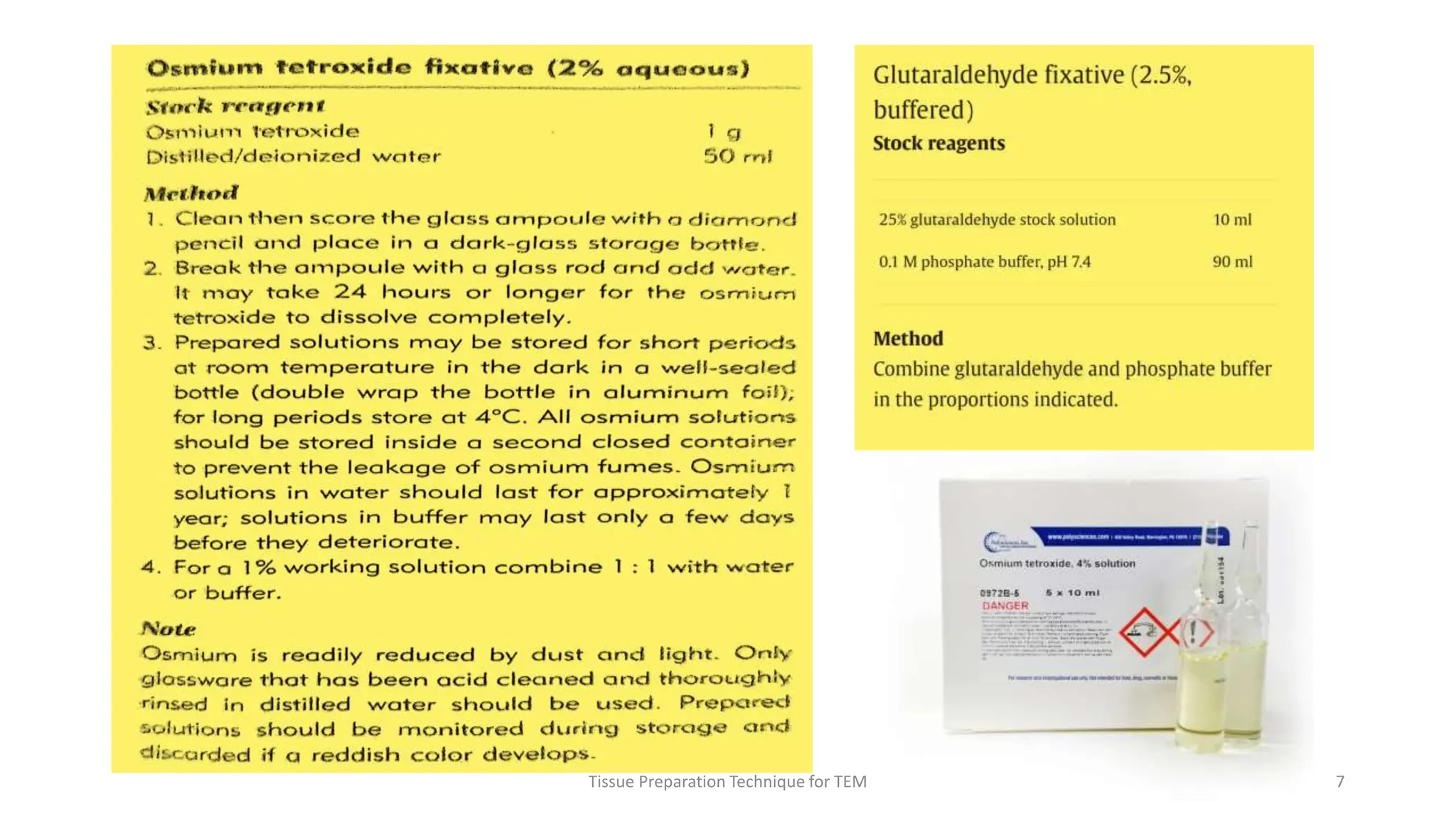 Tissue Preparation Technique for TEM 7
 