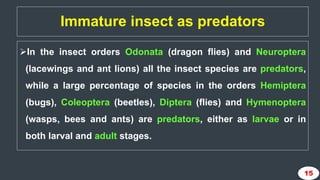 Importance of study of immature stages of insects in agriculture | PPTX