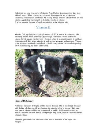 Causes of outbreak of an abortion in goats during the scarcity of green ...