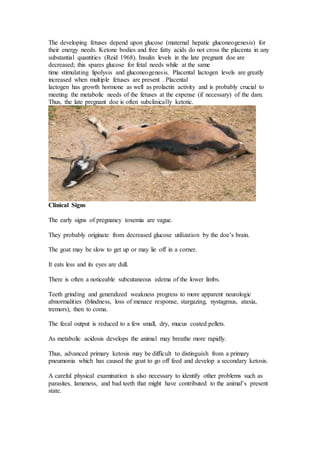 Causes of outbreak of an abortion in goats during the scarcity of green ...