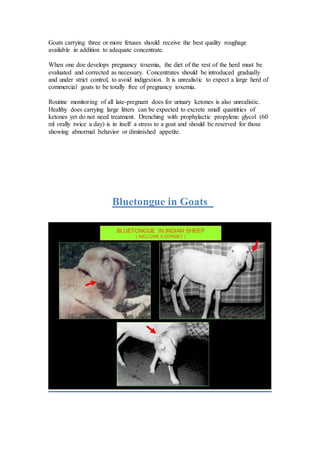 Causes of outbreak of an abortion in goats during the scarcity of green ...