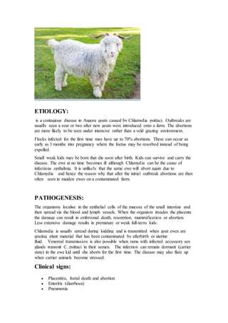 Causes of outbreak of an abortion in goats during the scarcity of green ...