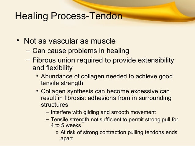 Muscle Injury , Inflammation & repair