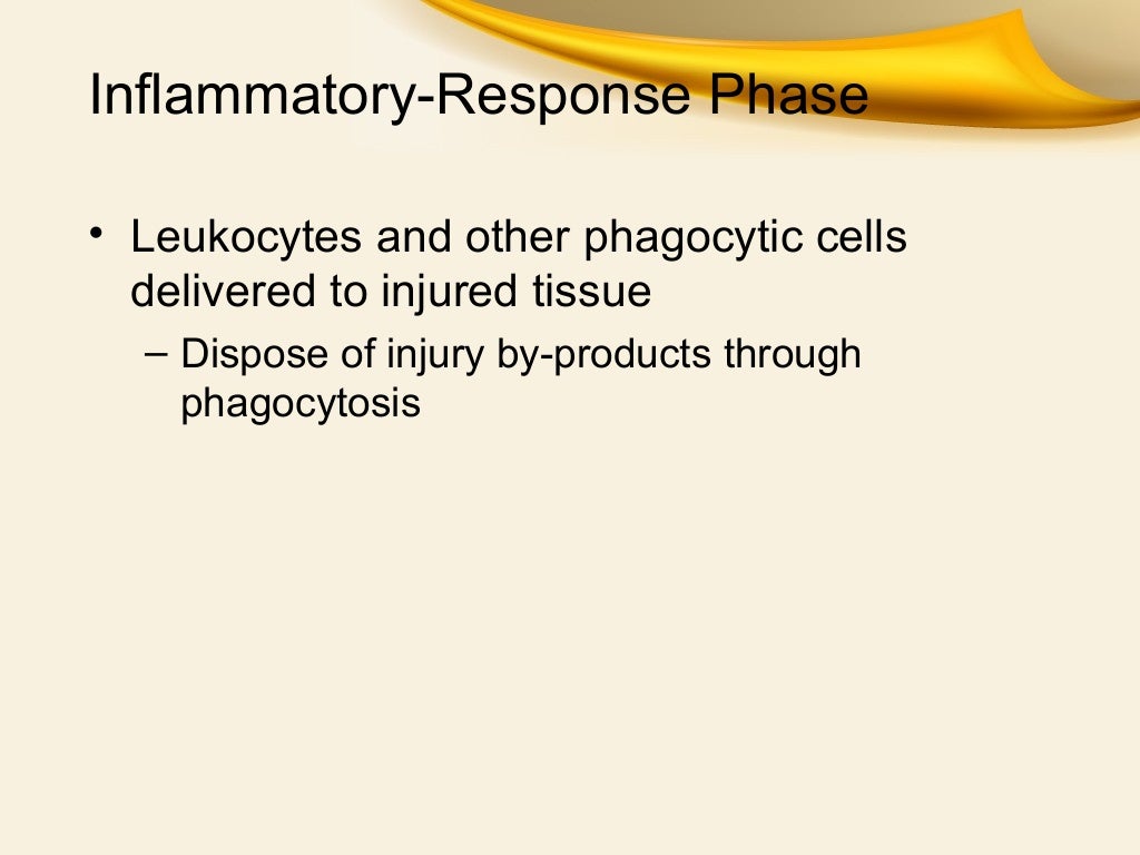 Muscle Injury , Inflammation & repair