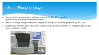 Use of Phosphorimager
▶ We can use the scanner control software to scan a full 20 x 25cm sample in
approximately 4 minutes using high resolution.
▶ We can use image analysis software to analyse and manipulate the data generated by the scans.
▶ Create image files that can be transferred to compatible graphics programs on computers to generate
image prints and reports.
 