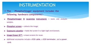 INSTRUMENTATION
 The PhosphorImager equipment includes the
following hardware components:-
▶ PhosphorImager SI (scanning instrument) —
samples.
scans and analyzes
▶ Phosphor screen — collects the image.
▶ Exposure cassette — holds the screen in a light-tight environment.
▶ Image Eraser SF™ — erases screens for reuse.
▶ Additional accessories include a SCSI cable, a SCSI terminator, and a power
cord.
 